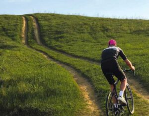 Read more about the article Green Fields for Biking